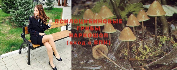 спиды Алексеевка