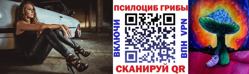 где продают   Учалы  mega онион  Псилоцибиновые грибы Magic Shrooms 